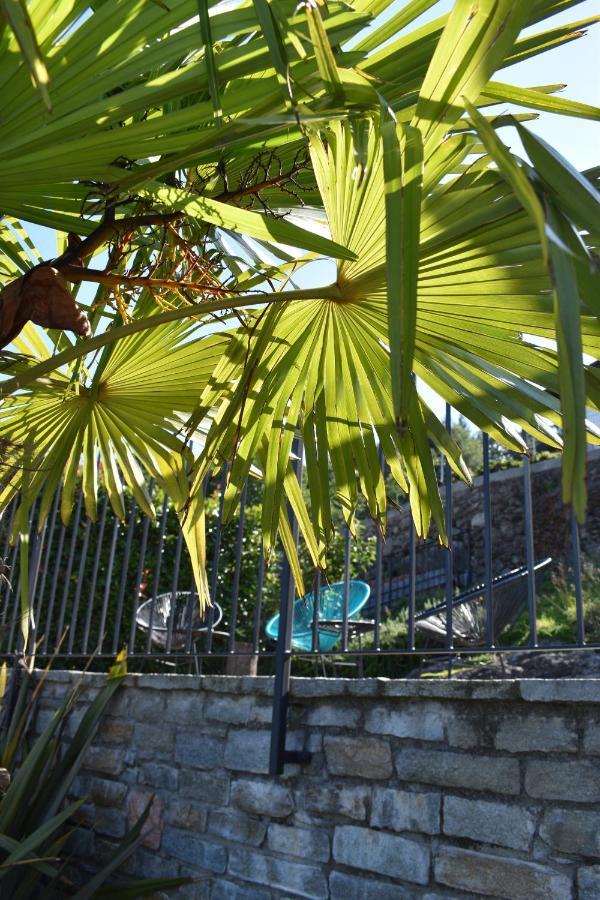 Apartment Monte E Lago Pianello Del Lario 外观 照片